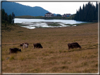 foto Lago di Calaita